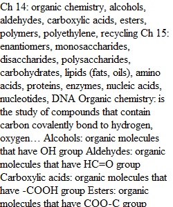 Worksheet 7